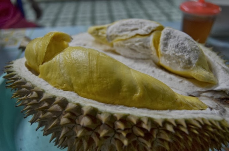 Banjaroya, Surganya Durian Unggulan