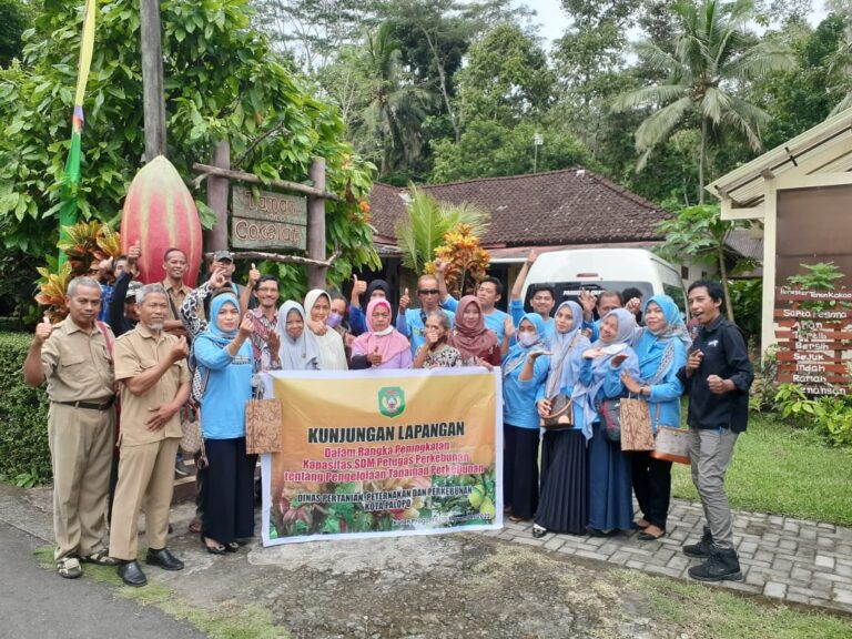 Dinas Pertanian, Peternakan dan Perkebunan Kota Palopo Mengujungi Taman Kakao Cokelat Desa Wisata Banjaroya
